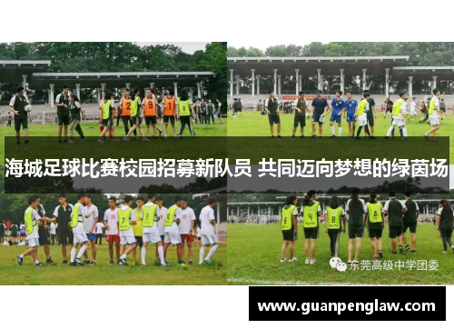 海城足球比赛校园招募新队员 共同迈向梦想的绿茵场