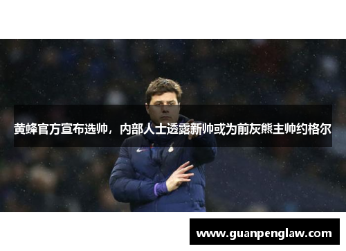 黄蜂官方宣布选帅，内部人士透露新帅或为前灰熊主帅约格尔