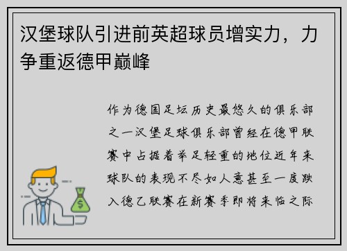 汉堡球队引进前英超球员增实力，力争重返德甲巅峰