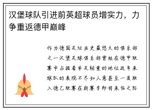 汉堡球队引进前英超球员增实力，力争重返德甲巅峰